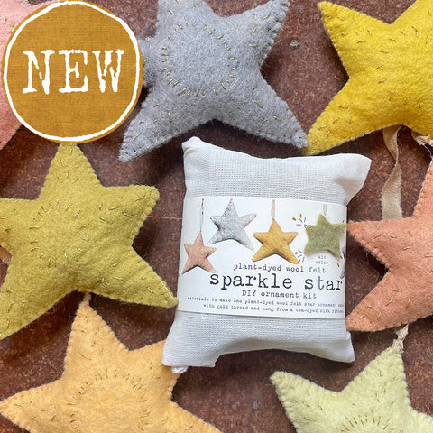 DIY sparkle star ornament kit