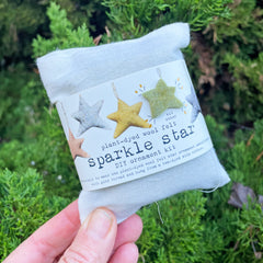 DIY sparkle star ornament kit