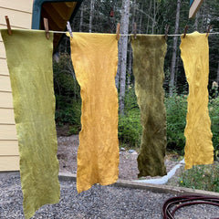 bag of plant-dyed wool felt scraps (from my dye garden!)